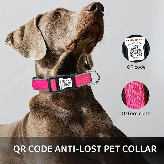 Personalized Dog Collar with QR Code Dog Tag, Oxford Rose Red S | Anti-lost, Oxford, reflective, padded, XS-L(8"-24"), QR buckle shares lost pet profile, location alerts when scanned, No Fees