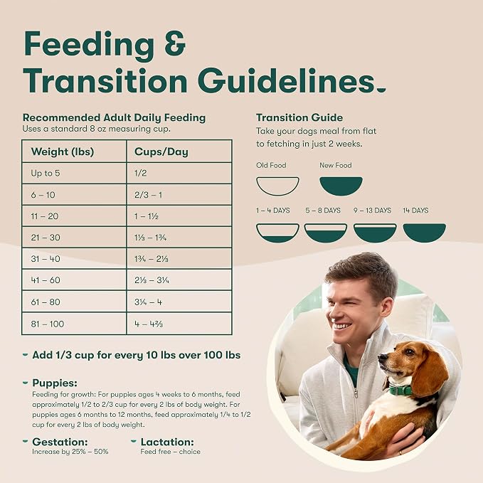 Jinx Senior Dry Dog Food - Real Chicken, Brown Rice & Sweet Potato, 4lb | Premium Senior Dogs Kibble with Antioxidants for Immune Support & Whole Grains for Digestive Support - No Fillers