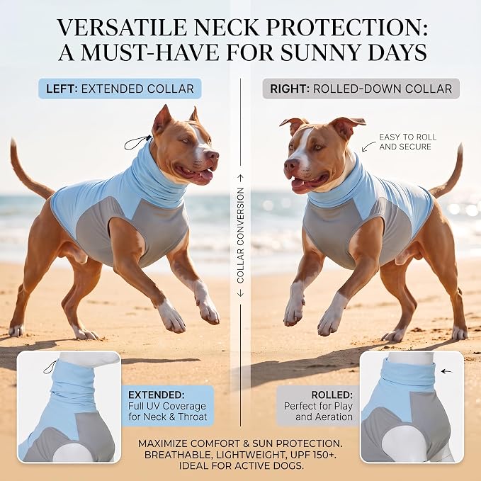 LovinPet UPF 150+ Dog Sun Shirt, Sleeveless High Neck Cooling UV Protection Clothes for Large Breeds, Quick Dry Lightweight Outdoor Vest with Breathable Belly Panel, Light Blue, XXL