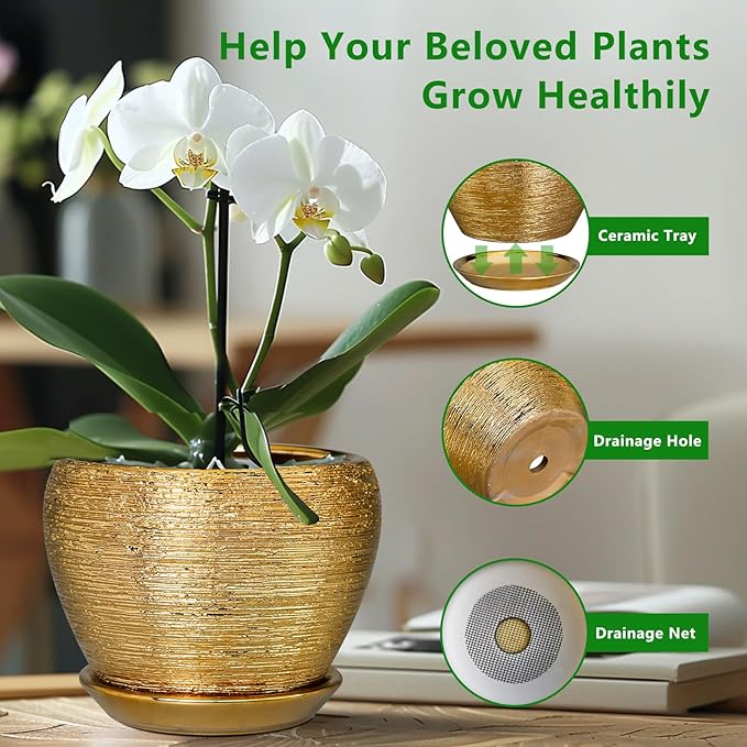 Ceramicfor Ceramic Plant Pot 8 Inch - Planter for Outdoor Plants Indoor Plant Pot with Drainage Hole and Saucer Decorative Round Planter Modern Flower Pot for House Decor Gold