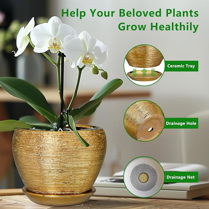Ceramicfor Indoor Plant Pot 6 Inch - Ceramic Pot for Plants Outdoor Planter with Drainage Hole and Saucer Round Decorative Planter Modern Flower Pot for Home Decor Gold