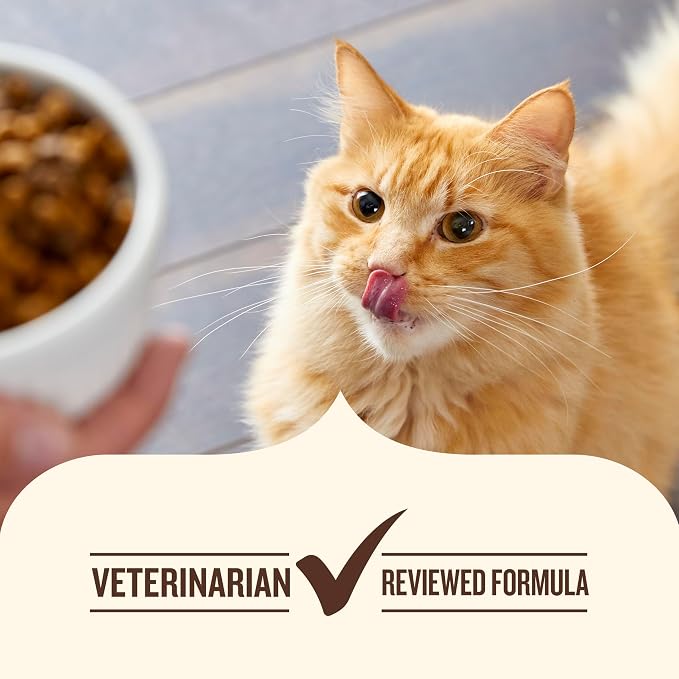 Nutrish Chicken Lover's Wet Cat Food Variety Pack, 2.8 oz Cup (Rachael Ray) | Includes 12 Cups of Three Grain Free Recipes: Chicken Purrcata, Ocean Fish & Chicken Catch-iatore and Chicken & Liver