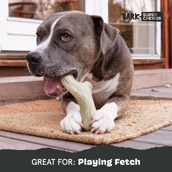 BarkBox Big Game Antler Super Chewer - Toy for Large Dogs | Durable Dog Toy for Aggressive Chewers - Vanilla Scented Dental Chew