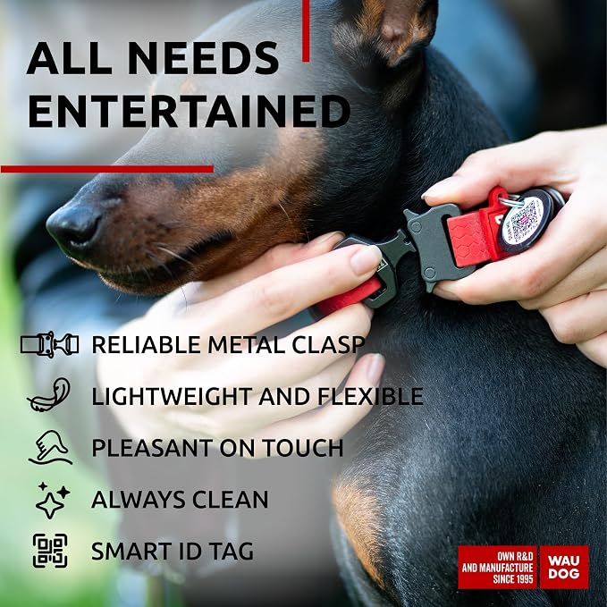 WAUDOG Waterproof Dog Collar Airtag Holder QR Tag Small Medium Large Dogs | Water and Dirt Resistant, Quick Dry QR Pet Tag Adjustable Durable Comfort for Male and Female Dogs Outdoor Walking Training