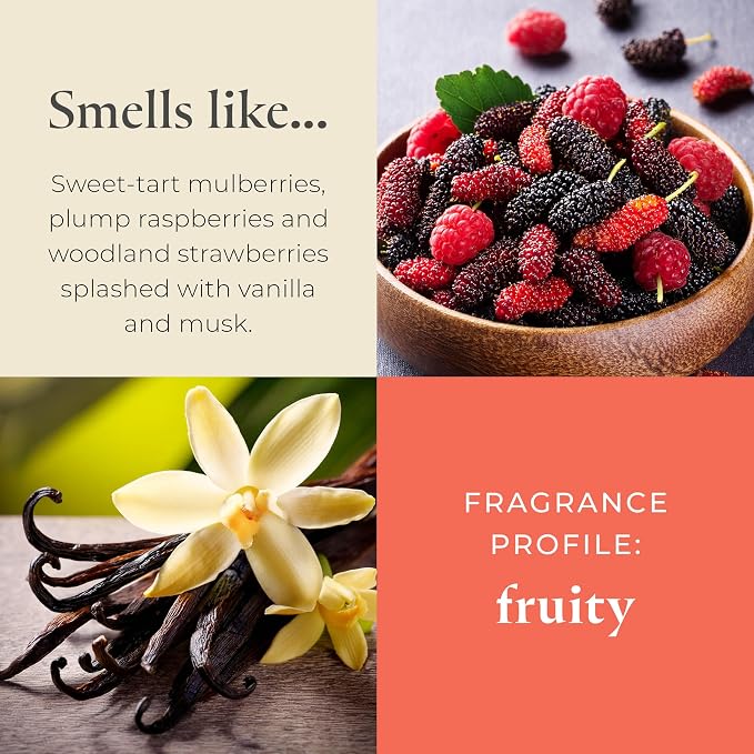 PartyLite Mulberry Scented, with Notes of Black Currant, BlackBerry, Mulberry & Pomegranate,10oz 1-Wick Aromatherapy Refillable Jar Candle, 50 Hour Burn Time, Sustainable Wax in Reusable Vessel