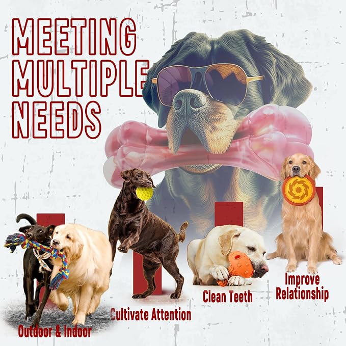 Zeaxuie 12-Pcs Variety Dog Toys for Aggressive Chewers, Medium & Large Dogs