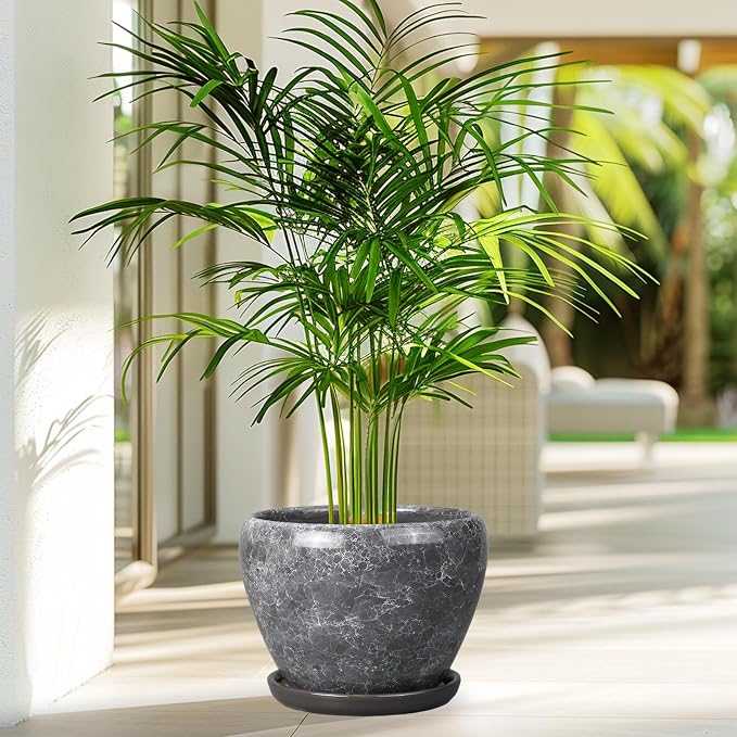 Ceramicfor 8 Inch Plant Pot - Ceramic Planter Pot with Drainage Hole and Saucer, Glaze Garden Pot Modern Flower Pot for Indoor Plants, Gray