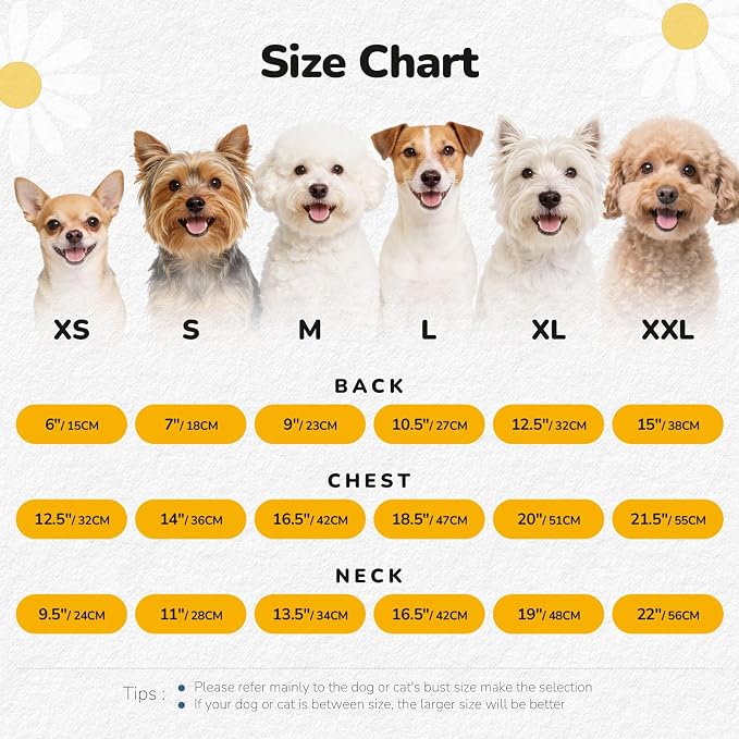 2Pack Small Dog Harness Dress for Girl Puppy Cat Dress with Strawberry&Lemon Pattern Adjustable Breathable D-Ring Outfits for Small Puppy Cat Dresses for Cats Only or Dog Girl Clothes