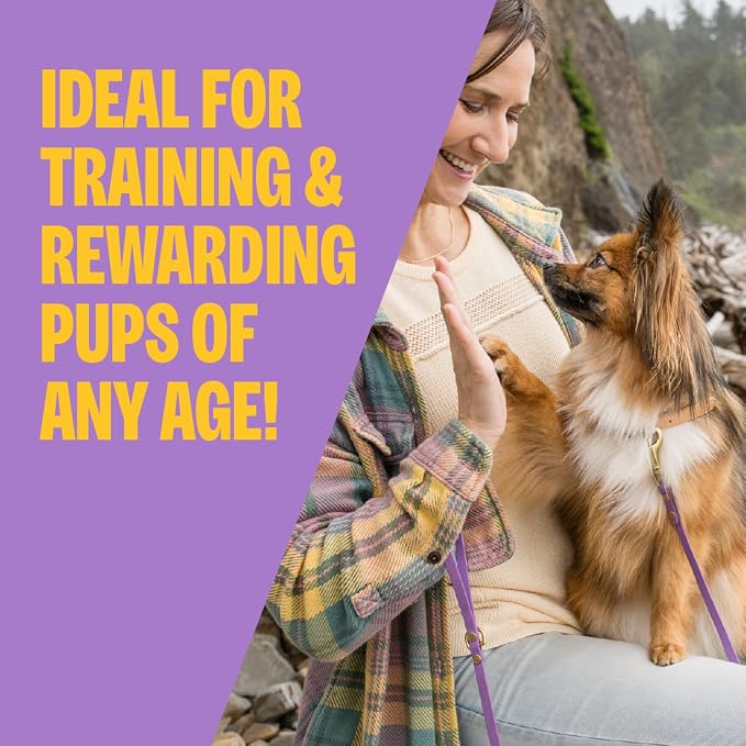 Wellness Crunchy Puppy Bites Dog Training Treats, Natural, Grain Free, Chicken and Carrot Recipe, 6 oz Bag