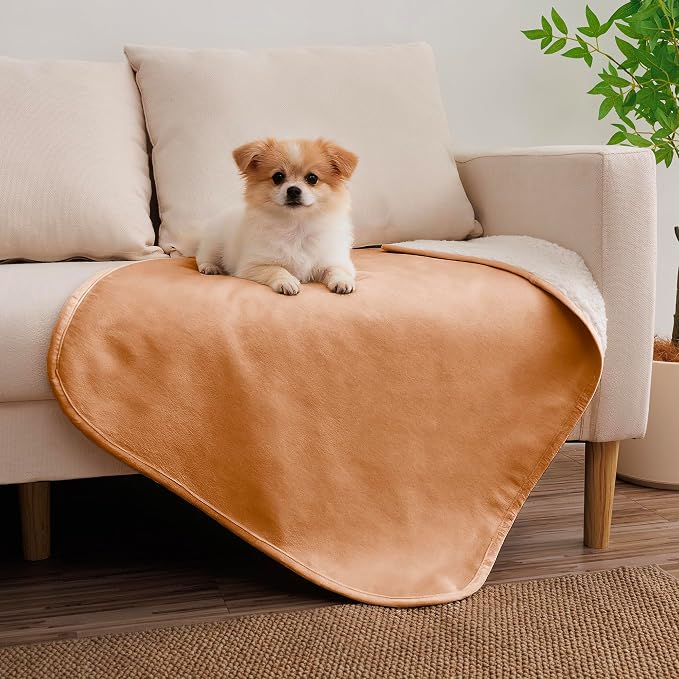Waterproof Blanket for Dogs - Pet Throw as Furniture Protector | Cozy Sherpa & Smooth Velvet, Reversible and Machine Washable, for Couch, Bed, or Travel, 25"x35", Orange