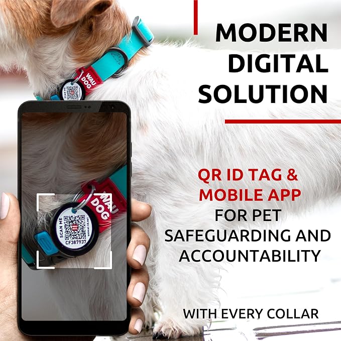 WAUDOG Waterproof Dog Collar Airtag Holder QR Tag Small Medium Large Dogs | Water and Dirt Resistant, Quick Dry QR Pet Tag Adjustable Durable Comfort for Male and Female Dogs Outdoor Walking Training