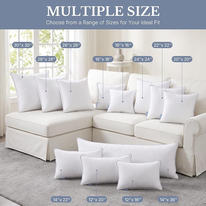 Leeden 12x16 Pillow Inserts Set of 2-12 Inch Square Throw Pillow Insert, Soft Fluffy Decorative Cushion Inserts for Couch Bed, White Pillow Insert Pair