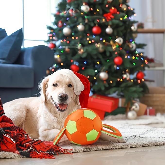 ALL FOR PAWS Upgraded Dog Ball with Handles, Durable Dog Toy with Squeaker, Interactive Tug of War Ball Toy for Medium and Large Dogs,15.7 x 7.9 x 7.9 Inch