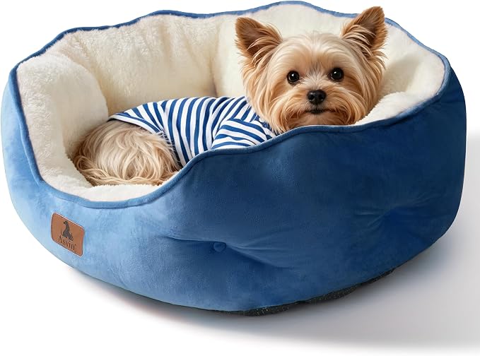 Medium Dog Bed for Medium Dogs, Cat Beds for Indoor Cats, Pet Bed for Puppy and Kitty, Extra Soft & Machine Washable with Anti-Slip & Water-Resistant Oxford Bottom, Light Blue, 25 inches