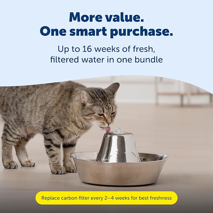 Seaside Stainless Cat & Dog Fountain with 4-Pack of Carbon Filters | 60 Oz Capacity with Extra Carbon Filters, Triple-Filter Operation, 360-Degree Flow, Rust-Resistant Stainless Steel
