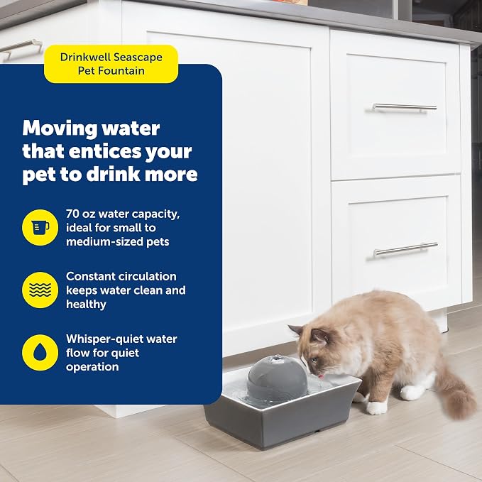 PetSafe Drinkwell Ceramic Pet Water Fountain, Cats & Dogs, Quiet, 70 oz | Encourages Pets to Drink More, Replaceable Carbon Filter, Whisper-Quiet Submersible Pump, Dishwasher Safe