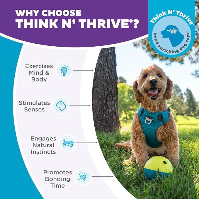 Outward Hound Nina Ottosson Treat Tumble Dog Toy Puzzle Ball, 4.8" | Level 1 Easy, Food-Dispensing Ball, Holds 1 Cup Kibble or Treats, No BPA, Interactive Enrichment, Dogs & Puppies