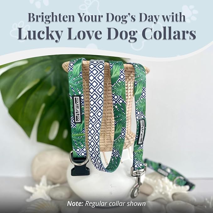 Lucky Love Dog Martingale Collar for Large Dogs Cute – Blue Laguna, Large
