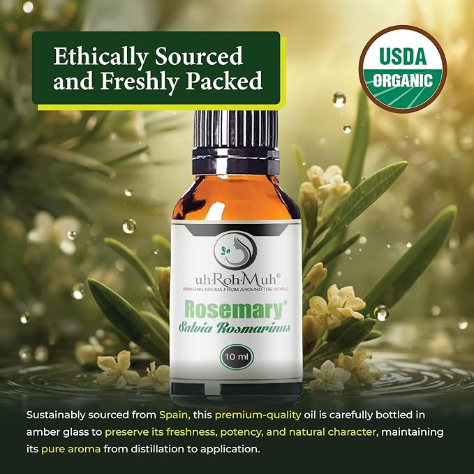 Organic Rosemary Essential Oil Chemotype Cineole | 100% Pure Steam Distilled Rosemary Oil | Fresh Herbaceous Aroma for Diffuser Aromatherapy, Massage Blends & DIY Recipes | Spain – 10ml