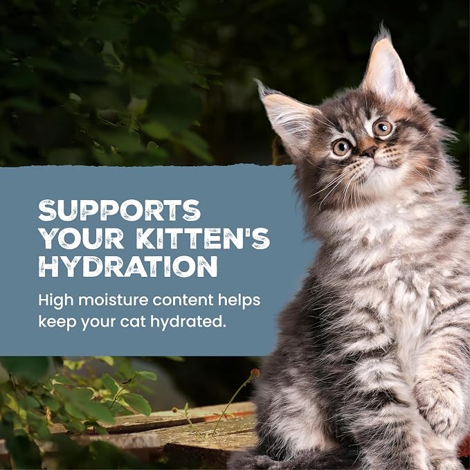 Blue Buffalo Wilderness Variety Pack Kitten Paté Wet Cat Food, 3 oz, 6 ct | High Protein, Chicken & Salmon Recipes (3 of Each), Grain-Free Recipe, DHA for Cognitive Development