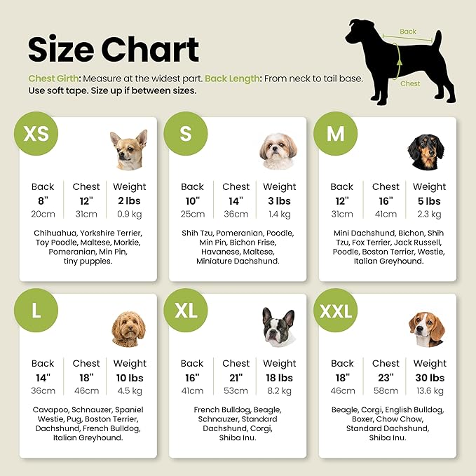 Fitwarm 2 Pack Toucan & Palm Tree UPF 50+ Sun UV Protection Dog Shirt, Lightweight Cooling Vest, Quick Dry Summer Clothes for Small Dogs Boy Girl, Pet Outfit, Green, Beige, XL
