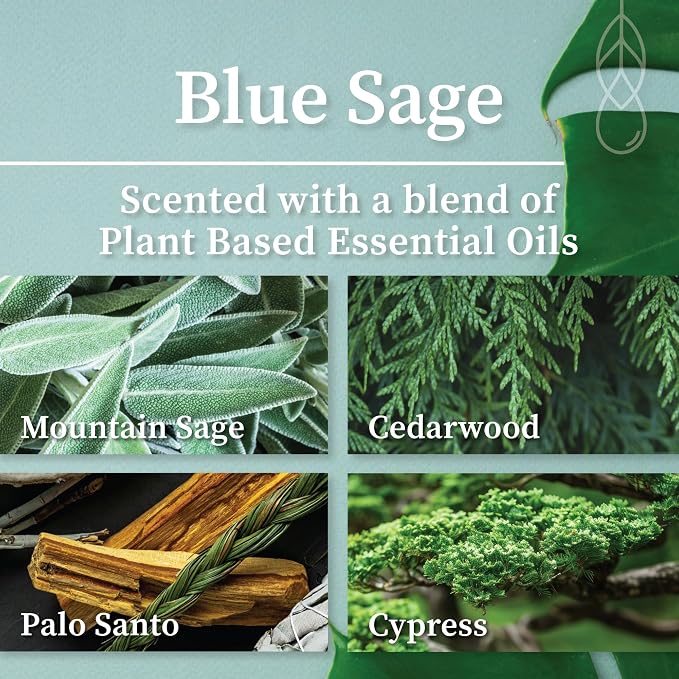 Hemlock Park Blue Sage Apothecary Scented Candle | Crackling Wood Wick, Botanical Fragrance & Coconut Apricot Wax | Up to 60 Hour Burn Time | 8 oz | Made in USA
