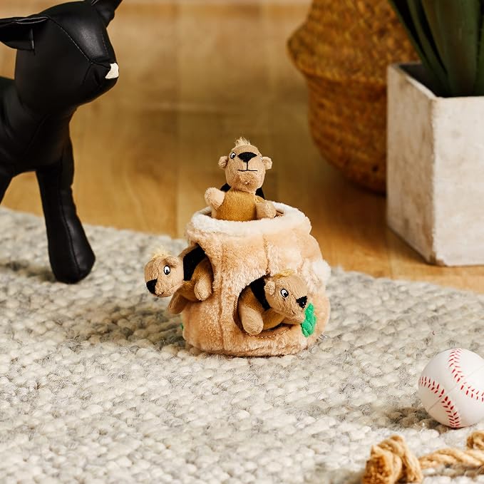 Outward Hound Hide-A-Squirrel Dog Toy – Interactive 2‑in‑1 Plush Puzzle with 3 Squeaky Removable Squirrels, Small (Pack of 12)