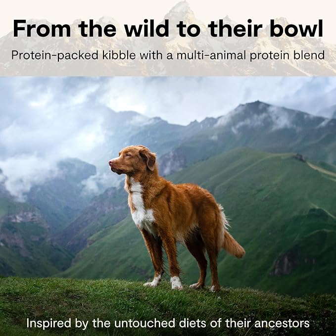 Open Farm RawMix Ancient Grains Dry Dog Food, Wild Ocean Kibble, 20lb Bag | Wild-Caught Whitefish, Salmon and Rockfish, Freeze Dried Raw Chunks, 100% Traceable Ingredients, Non-GMO Fruits & Veggies.