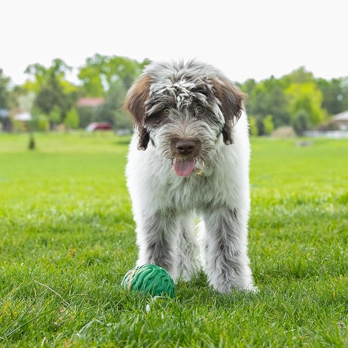PetKORE Luna Ball - 4" Large, Green, Dog & Puppy Toy, Flexible Rubber, Teething & Chewing, Tactile Surface, Bounce & Fetch, Pet Indoor-Outdoor Play