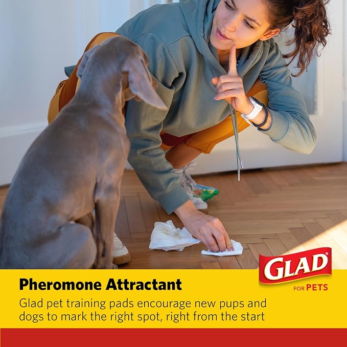 Glad for Pets XL Charcoal Training Pads, Heavy Duty, 24x24 in, 100 Count | Quick-dry quilted top and leak-resistant layers for indoor potty use and crate liners, 24 x 24 in