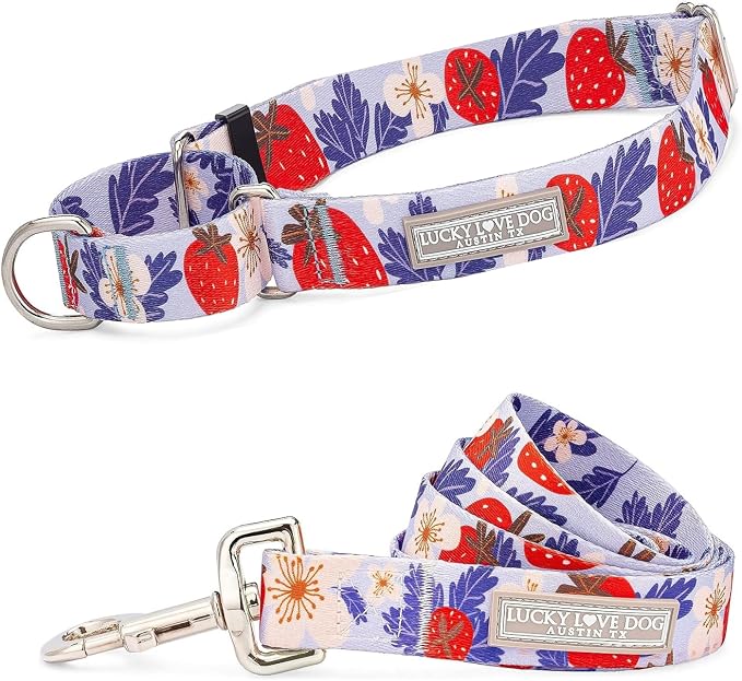 Lucky Love Dog Martingale Collar & Leash Set No Slip – Sweet Berry, Medium