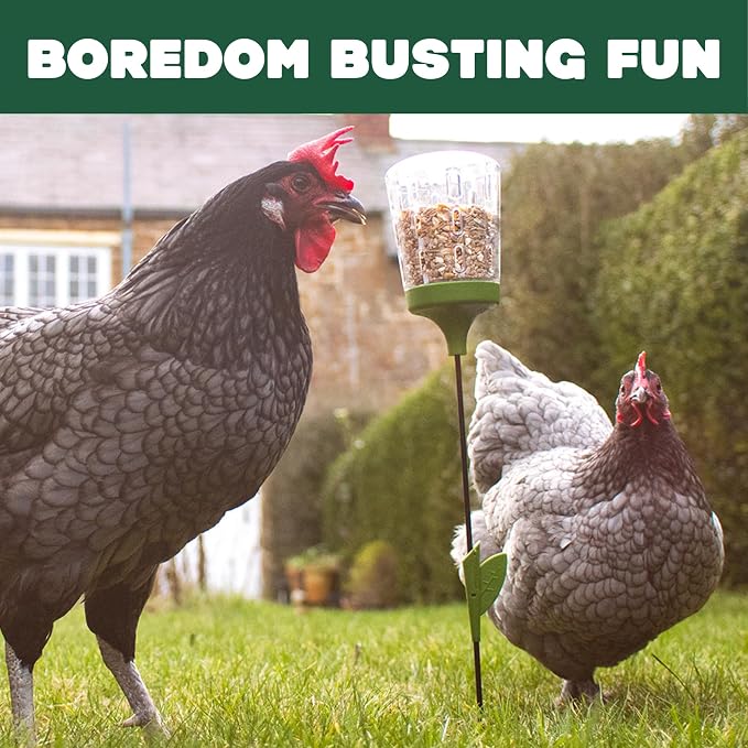 Omlet Poppy Chicken Peck Toy | Interactive Foraging & Pecking Enrichment Toy for Hens | Slow-Feed Treat Dispenser | Reduces Boredom & Feather Pecking | 300g Feed Capacity | 2 Designs