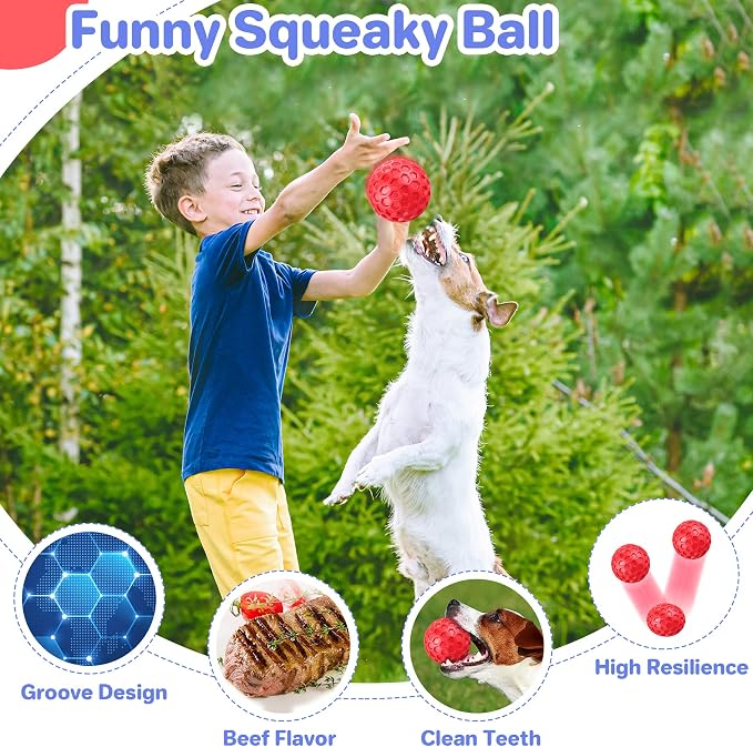DISSKNIC Indestructible Squeaky Dog Balls for Aggressive Chewers, Interactive Dog Toys for Aggressive Chewers for Relieving Anxiety, Dog Chew Toy Balls for Small Medium Large Dogs, Outdoor Dog Toys