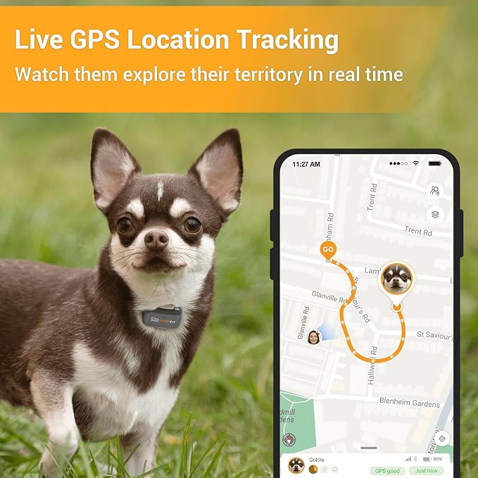 Pawfit Lite 4G GPS Dog Tracker, Live Tracking, Ultra-Light, Onyx Black