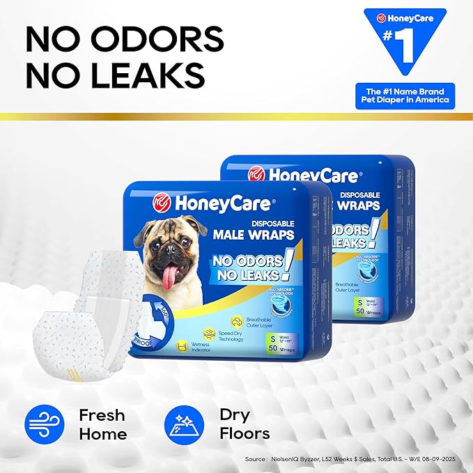 HONEY CARE All-Absorb A26 Male Dog Wrap, Small, 50 Count (Pack of 6)
