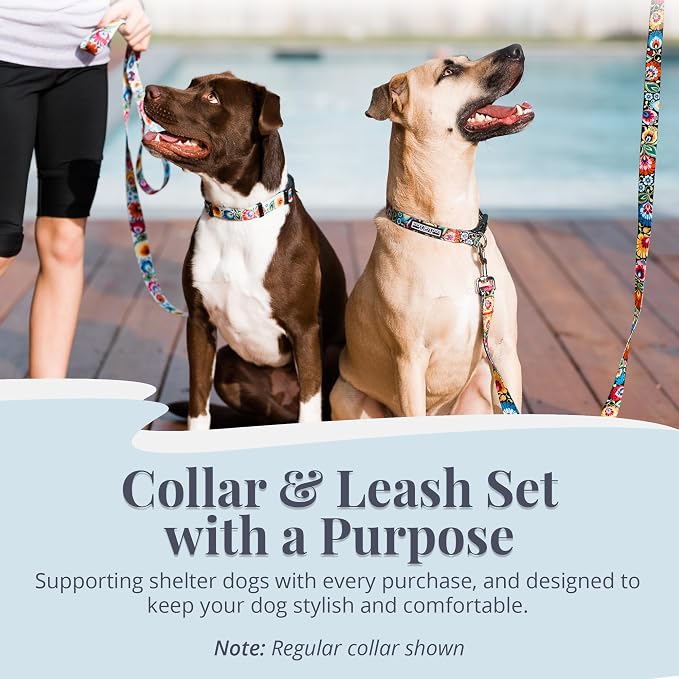 Lucky Love Dog Martingale Collar & Leash Set No Slip – Blackbird, Small