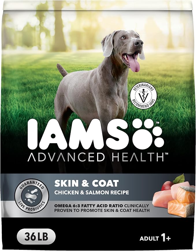 IAMS Advanced Health Skin & Coat Dry Dog Food, Chicken & Salmon, 36 lb | Vet-recommended, Omega 6:3 fatty acids, zinc & vitamin E, real chicken #1 ingredient, real salmon, no artificial flavors