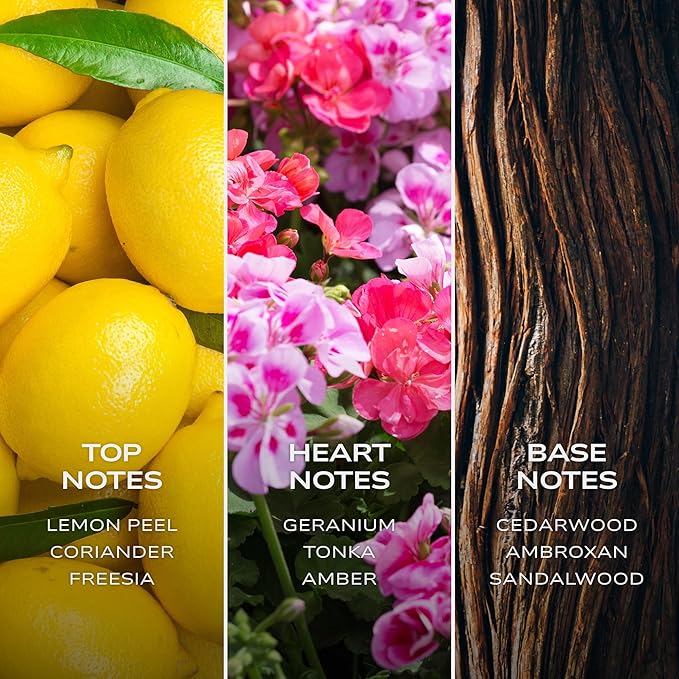 Intelligent Silver Eau de Parfum | Cologne for Men | Clean, Collected, and Sophisticated | 3.4 Fl Oz (100 mL)