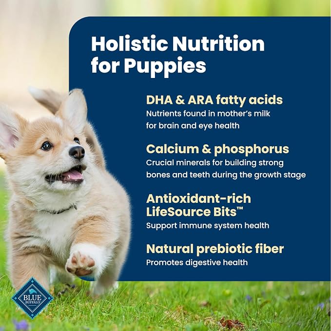 Blue Buffalo Life Protection Formula Chicken Puppy Dry Dog Food, 34 lb | With DHA for Brain Development, Real Chicken #1 Ingredient, Antioxidant-Rich LifeSource Bits, Promotes Healthy Muscle Growth
