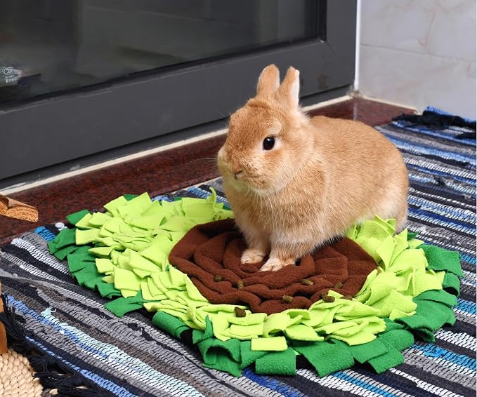 Dog Snuffle Mat Fleece Foraging Fruit Design Mats Small Animals Interactive Feeding Toy Anti Slip Slow Feeder Pet Treat Dispenser for Dogs Rabbits Guinea Pigs (Avocado)