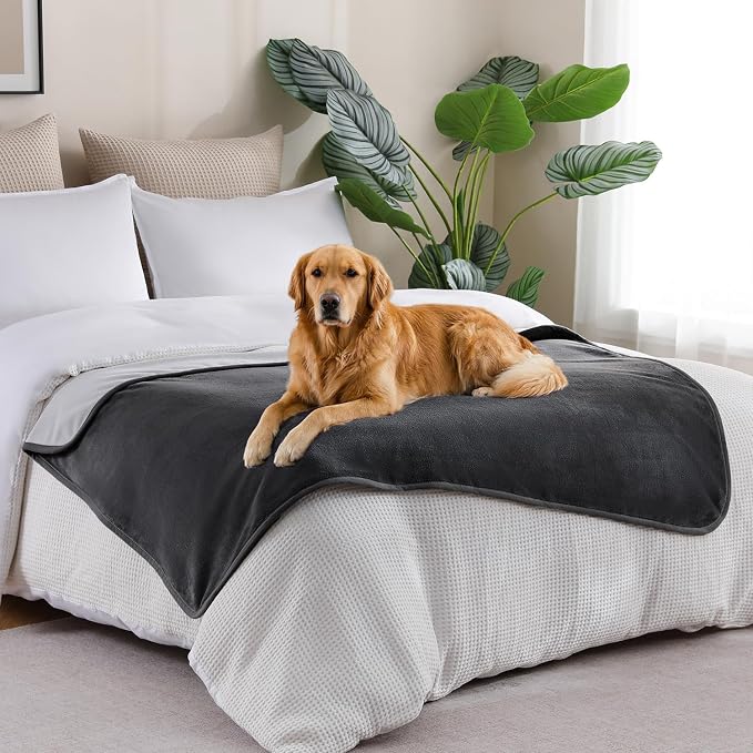 Waterproof Blanket Bed Cover 40"x60" for Adults or Pets, Dark Grey | Soft Pet Blanket for Dogs Cats, Reversible Leakproof Blanket for Bed Couch Sofa, Furniture Protector