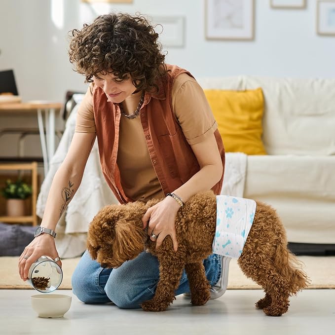 Bestle Male Dog Wrap, Disposable Dog Diapers, 40 Count, S (Waist 16.5”-19.7”), Wetness Indicator, Ultra Protection, Leak Proof, Super Absorbent, Soft