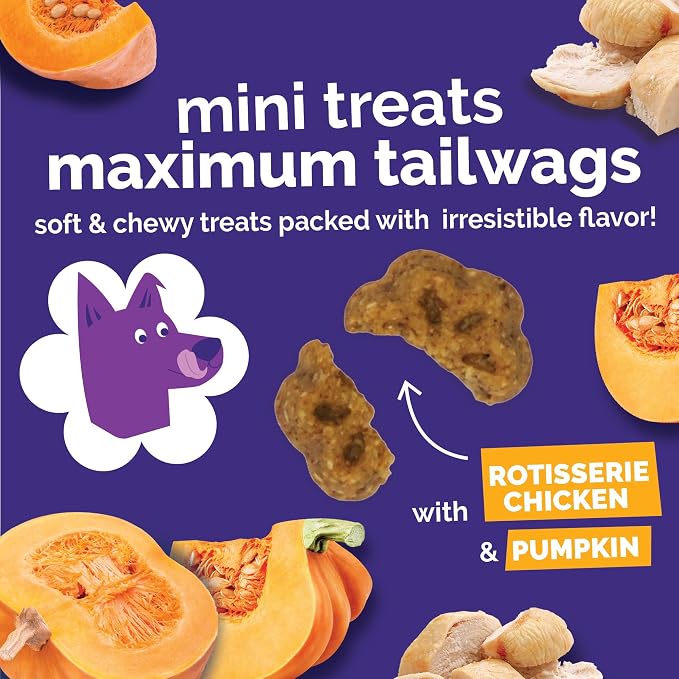 Fruitables Skinny Minis Soft & Chewy Dog Training Treats, Low Calorie Chicken & Pumpkin Recipe, Bite-Sized Rewards for Puppies & Adult Dogs, No Wheat Corn or Soy, Made in USA, 5 oz