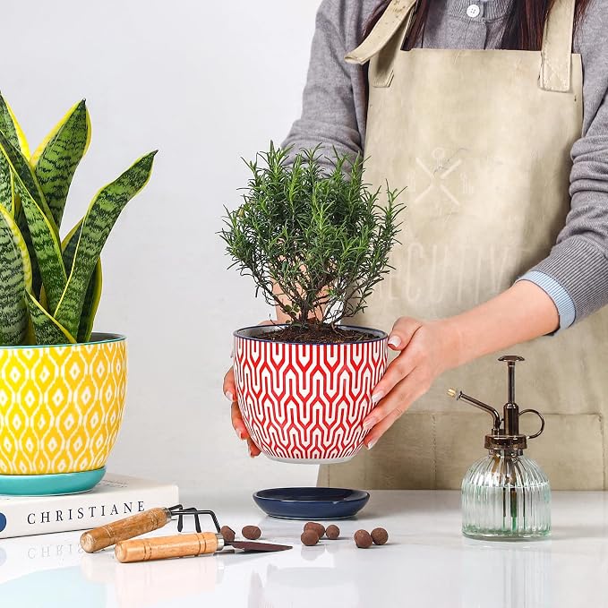 Selamica Ceramic Plant Pots, 4.6+5.6+6.5 Inch Planters with Drainage Holes & Saucer, Flower Pots for Indoor Plants, Home Decor, Set of 3, Assorted Colors