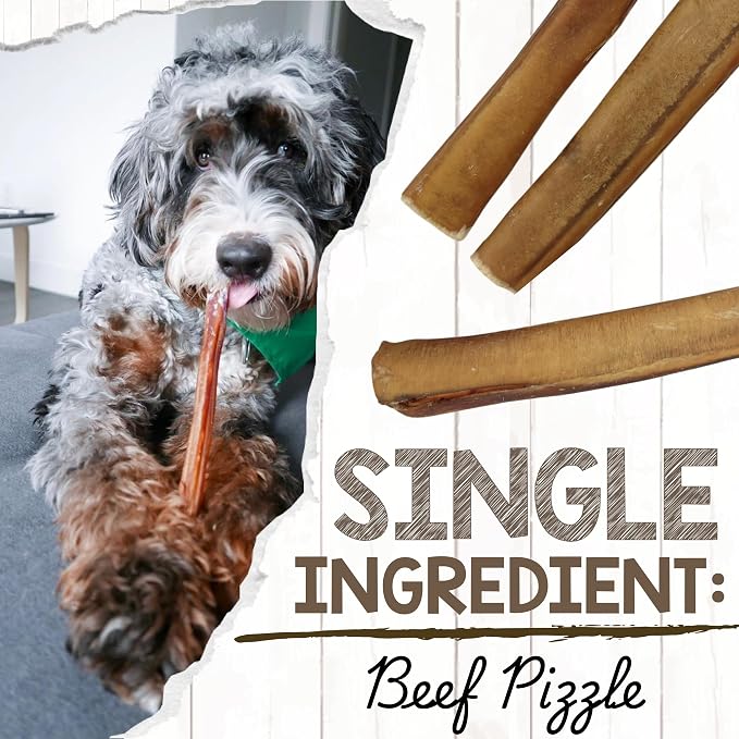 Nature Gnaws Large Bully Sticks 6" Rawhide Free Dog Chews, 15 Count | Thick Long Lasting for Aggressive Chewers and Large Dogs - Natural Beef Dog Chew Bones - No Artificial Preservatives