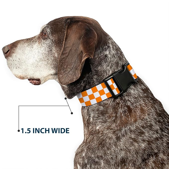Buckle-Down Plastic Clip Dog Collar