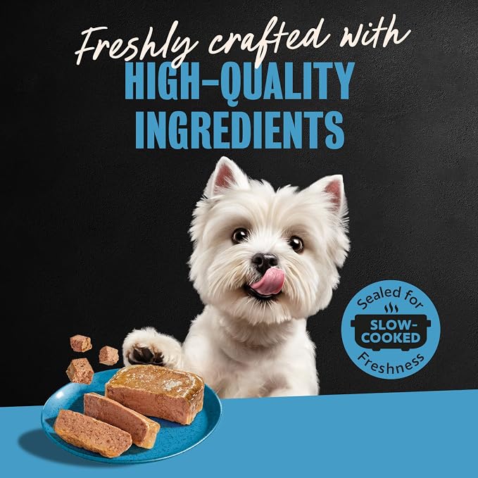 Cesar Classic Loaf in Sauce Wet Dog Food, Lamb Recipe, 3.5 oz, 24 Count | Made in USA, Real lamb #1 ingredient, no fillers, no added sugar, no artificial flavors, slow-cooked, easy peel trays