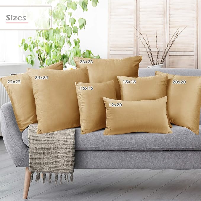 Throw Pillow Inserts Pack of 2 with Velvet Soft Solid Decorative Square Throw Pillow Covers Set for Sofa Couch Car Bedroom, 18X18 Throw Pillows Inserts with 16x16 Washable Cushion Covers, Camel Gold