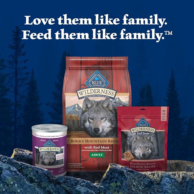 Blue Buffalo Wilderness Turkey Crunchy Dog Biscuits, Grain-Free, 10 oz | Real Turkey #1 Ingredient, Crunchy Biscuits, High Protein Nutrition, No Artificial Preservatives