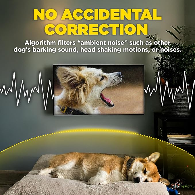 Dogtra Smart NOBARK Detects Whining and Barking, 33 ft Range App for Notifications, E-Collar, Behavior Report, Waterproof IPX9K, Compact Size for 10 lb Dogs, Triple Detection Accuracy